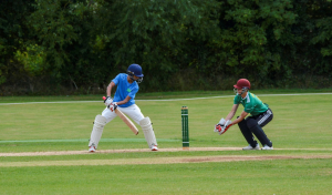 Why is cricket betting so popular?